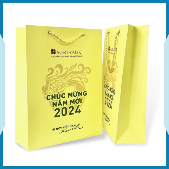 TÚI GIẤY - MẪU 02